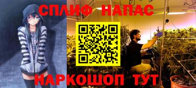 сатива Севастополь